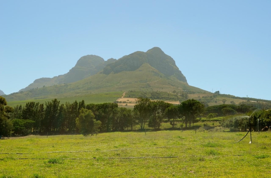 Commercial Property for Sale in Stellenbosch Farms Western Cape
